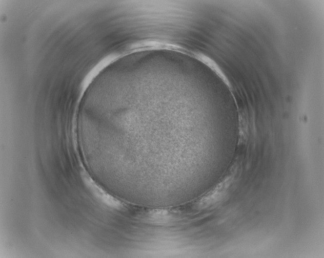 X0000070371098200606161311