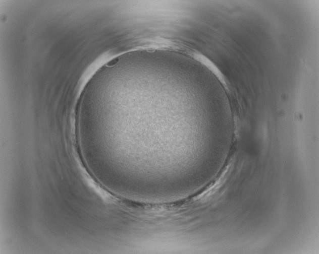 X0000070371099200606161311