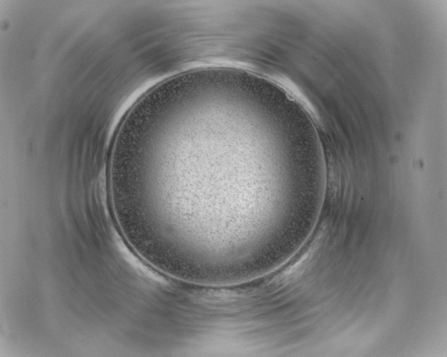 X0000070371100200606161310