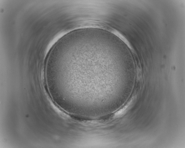 X0000070371101200606161310