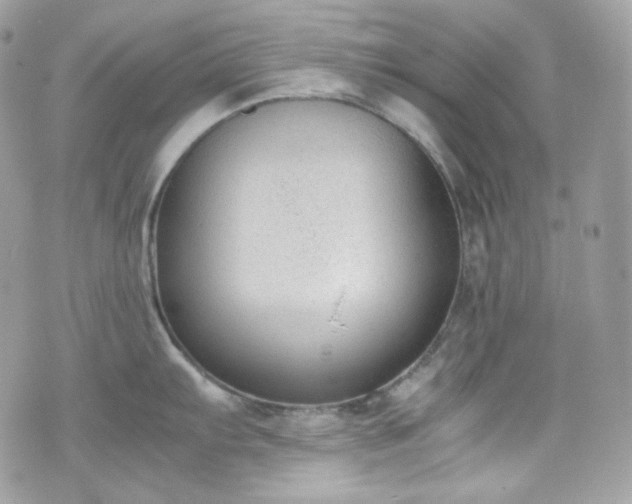 X0000070371103200606161310