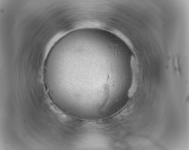 X0000070371104200606161310