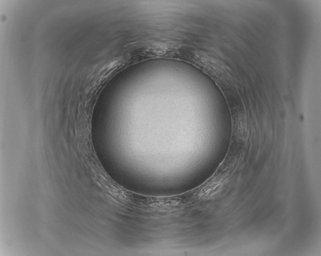 X0000070371105200606161310