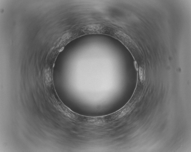 X0000070371107200606161310