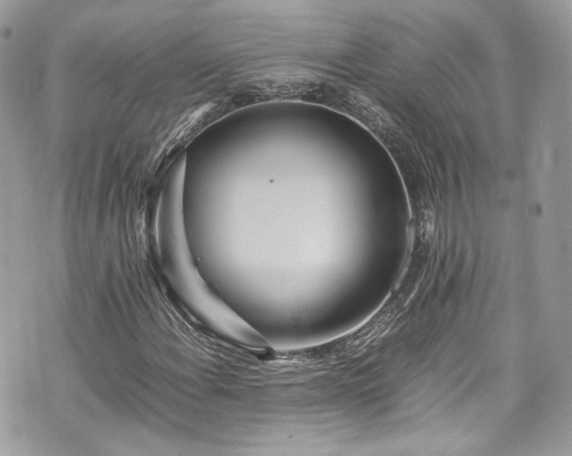 X0000070371108200606161310