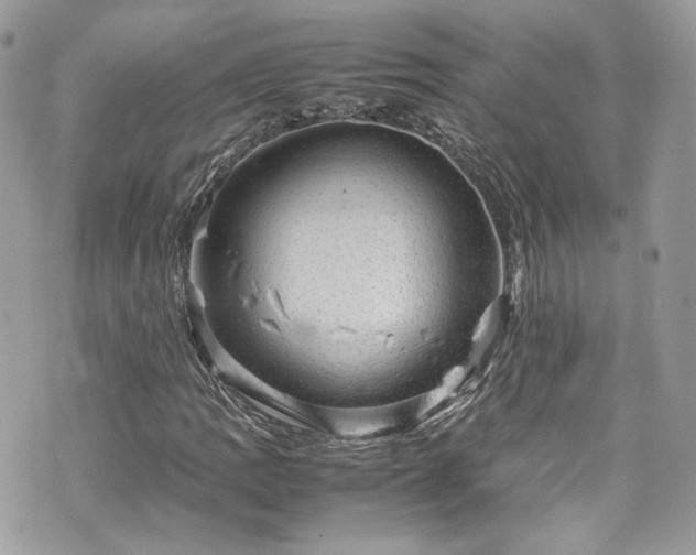 X0000070371109200606161310