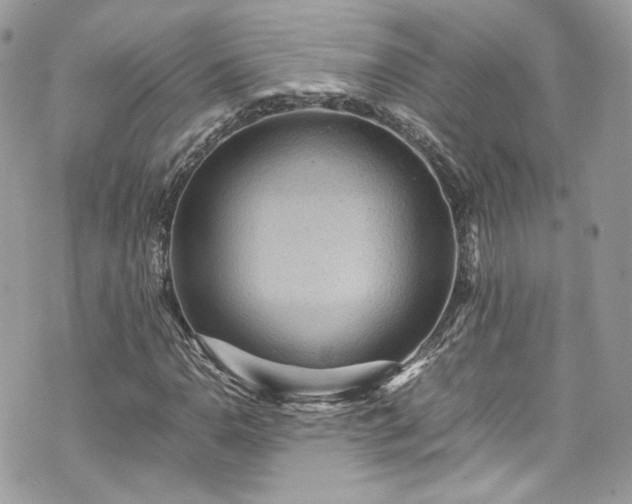 X0000070371110200606161310