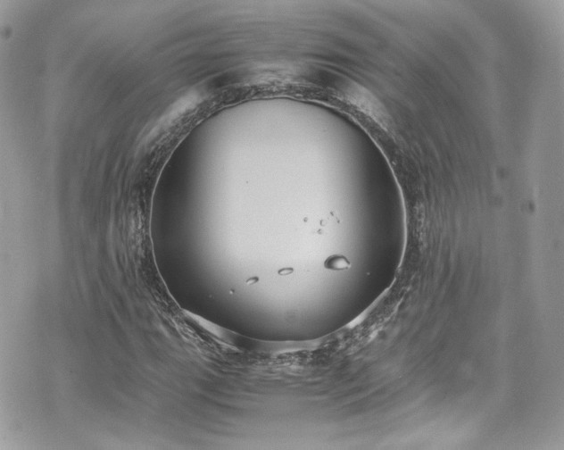 X0000070371111200606161310