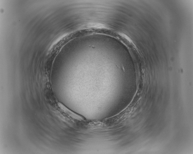 X0000070371112200606161310