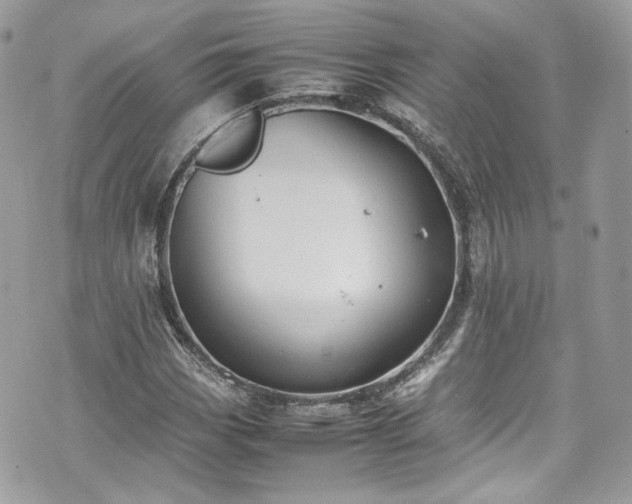 X0000070371113200606161310