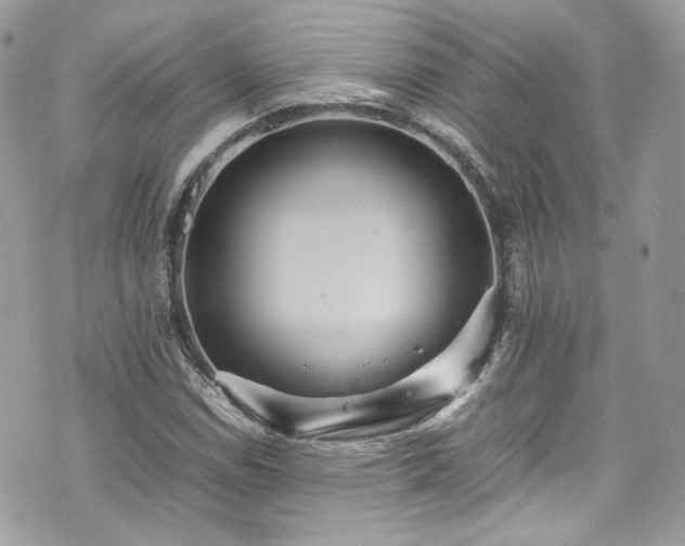 X0000070371114200606161310