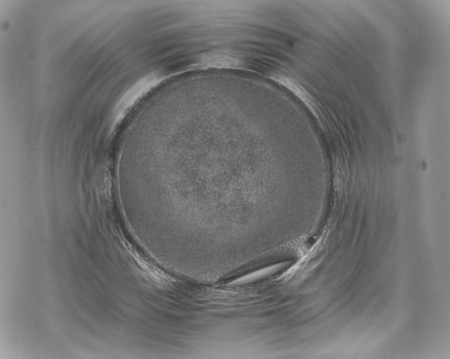 X0000070371115200606161310