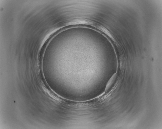 X0000070371116200606161310