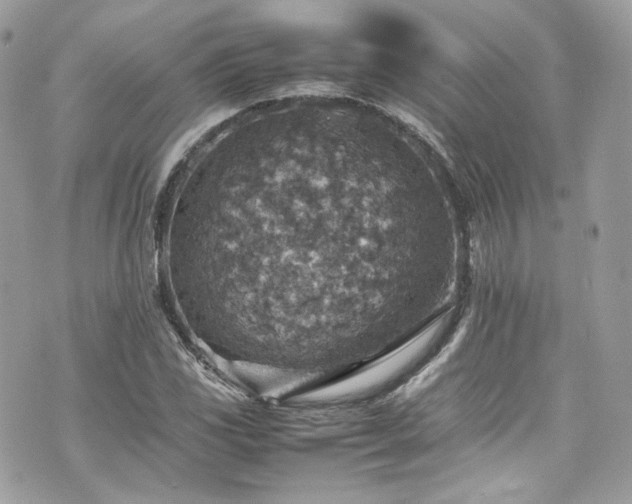 X0000070371117200606161310