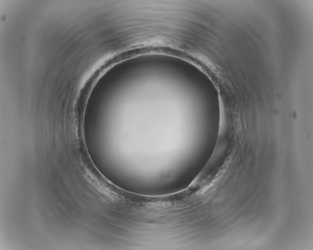 X0000070371118200606161310