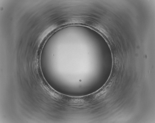 X0000070371119200606161310