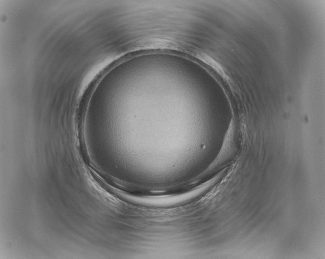 X0000070371120200606161310