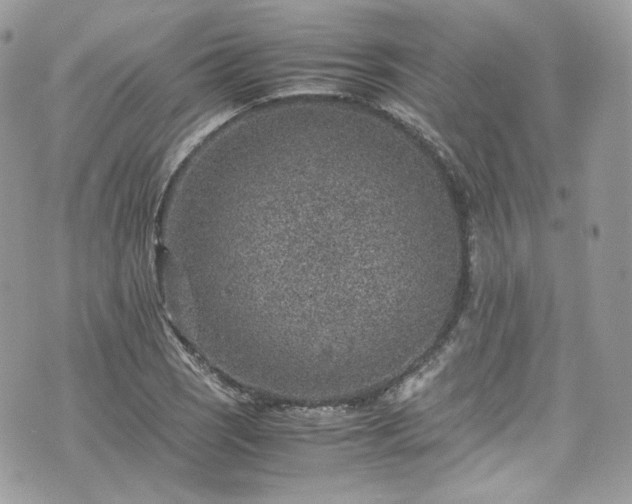 X0000070371121200606161310