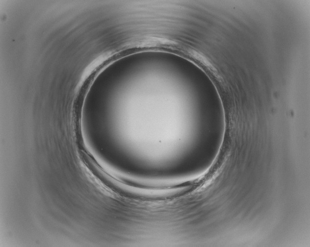 X0000070371122200606161310