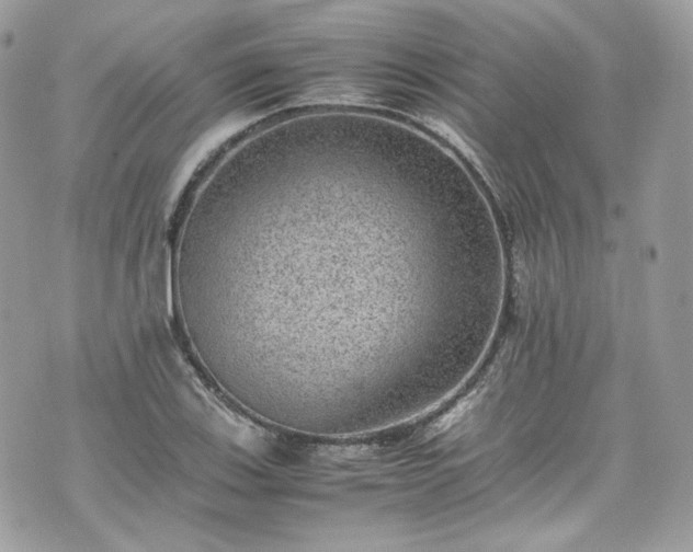 X0000070371123200606161310