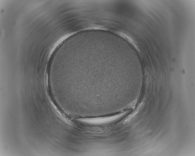 X0000070371125200606161310