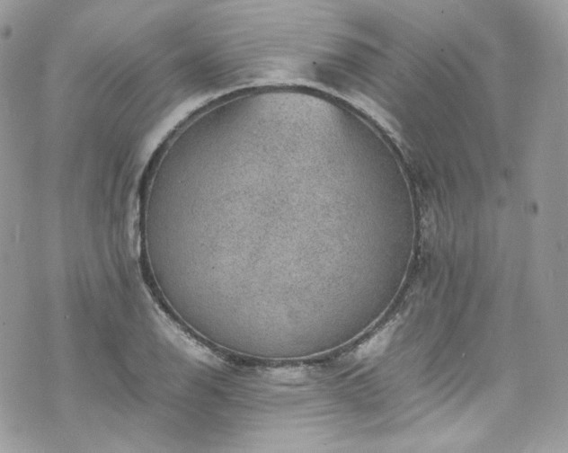 X0000070371126200606161310