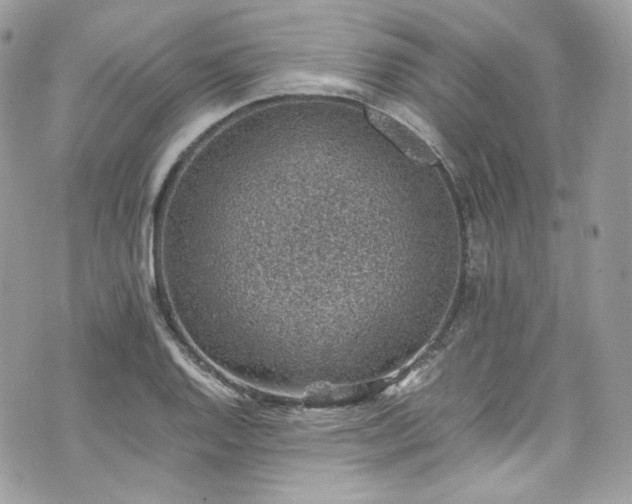 X0000070371128200606161310