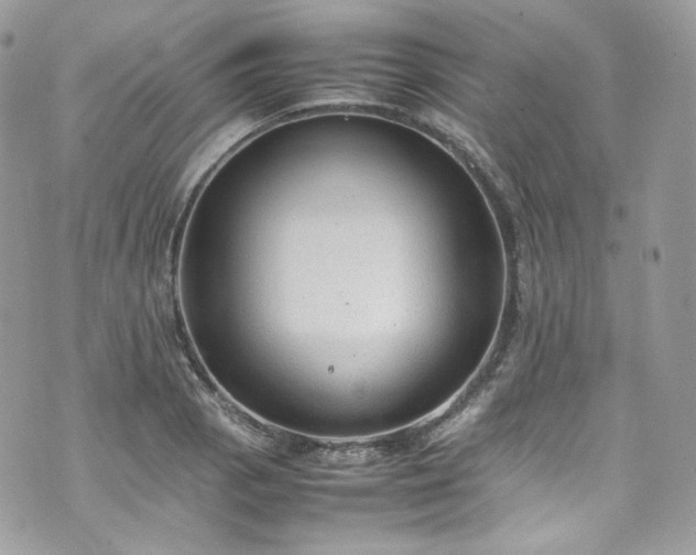 X0000070371129200606161310