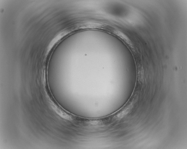 X0000070371130200606161310