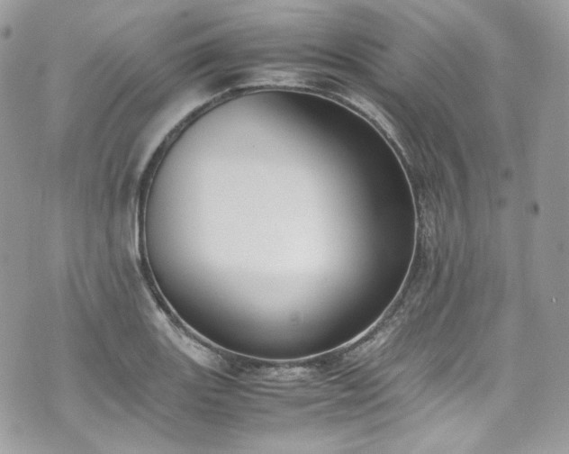 X0000070371131200606161310