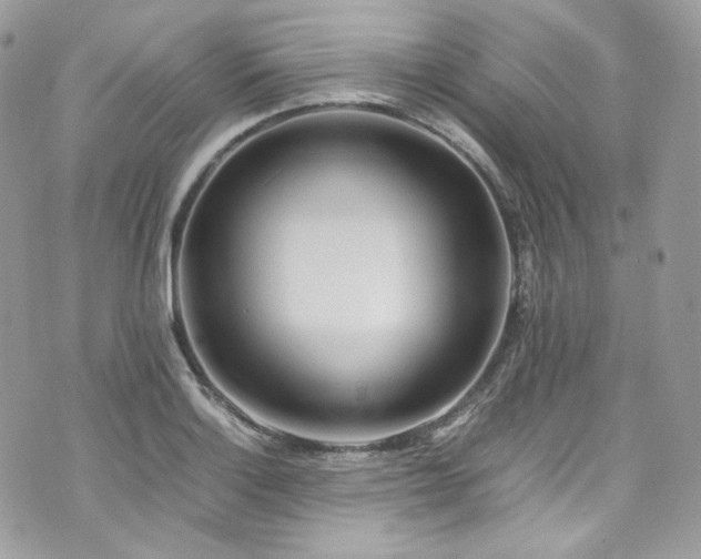 X0000070371132200606161310