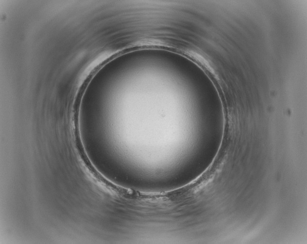 X0000070371133200606161310