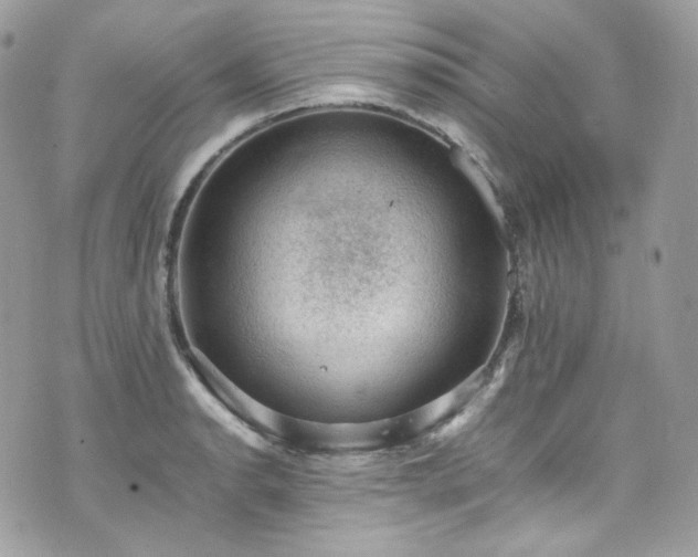 X0000070371134200606161310