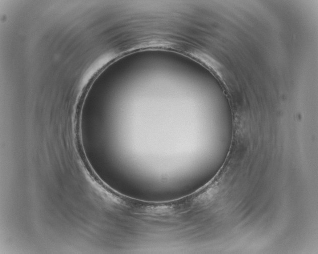 X0000070371135200606161310