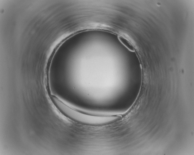 X0000070371136200606161310