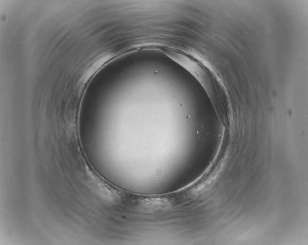 X0000070371137200606161310