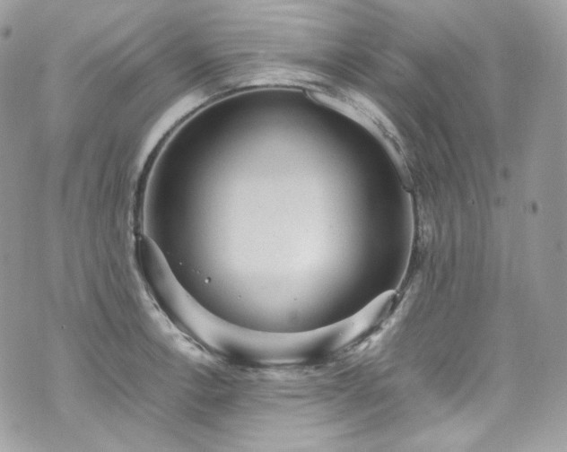 X0000070371138200606161310