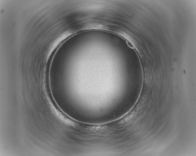 X0000070371139200606161310