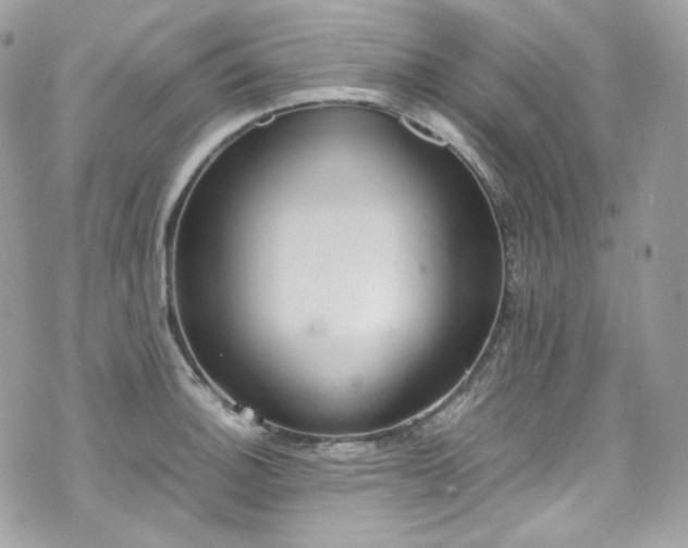 X0000070371140200606161310