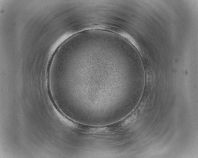 X0000070371143200606161310