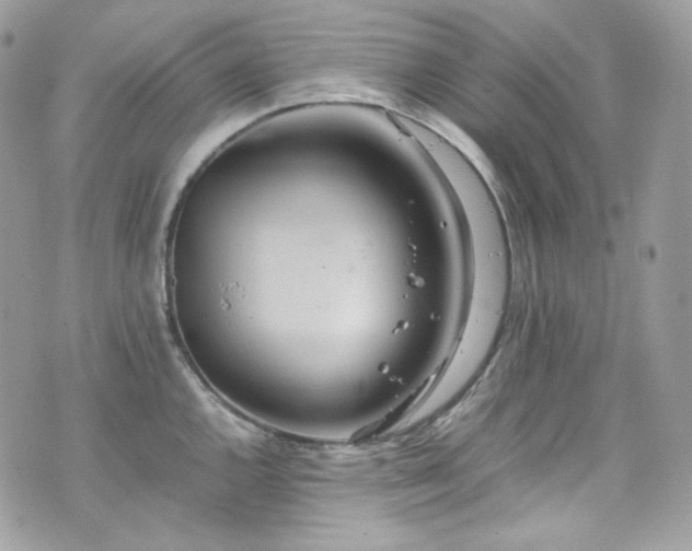 X0000070371144200606161310