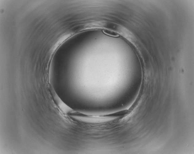 X0000070371145200606161310