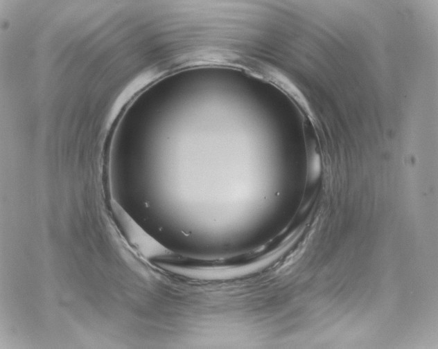 X0000070371146200606161310