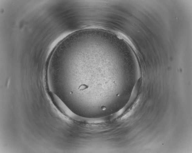 X0000070371149200606161310