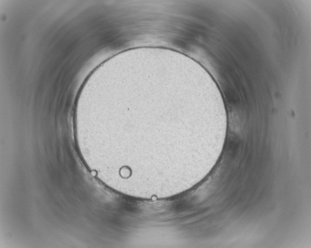 X0000070371150200606161310