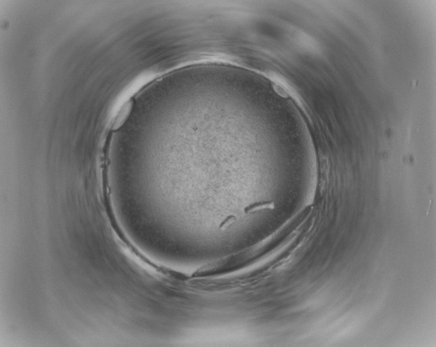 X0000070371151200606161310