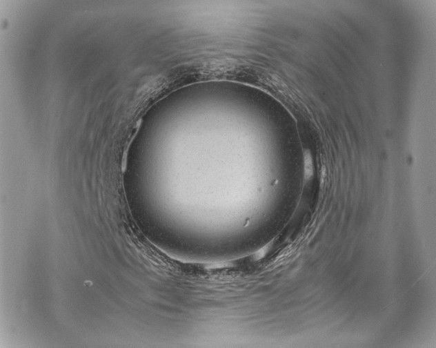 X0000070371153200606161310