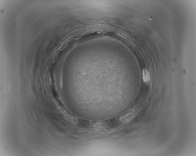 X0000070371155200606161310