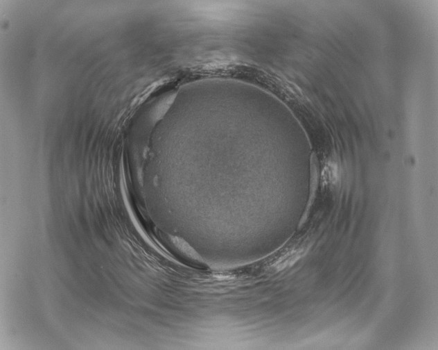 X0000070371156200606161310