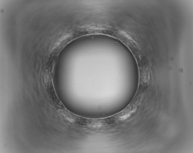 X0000070371157200606161310